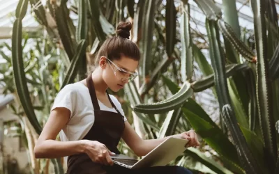 ¿Por qué cada vez más empresas en México tienen un sitio web? (y sí, necesitas uno)!